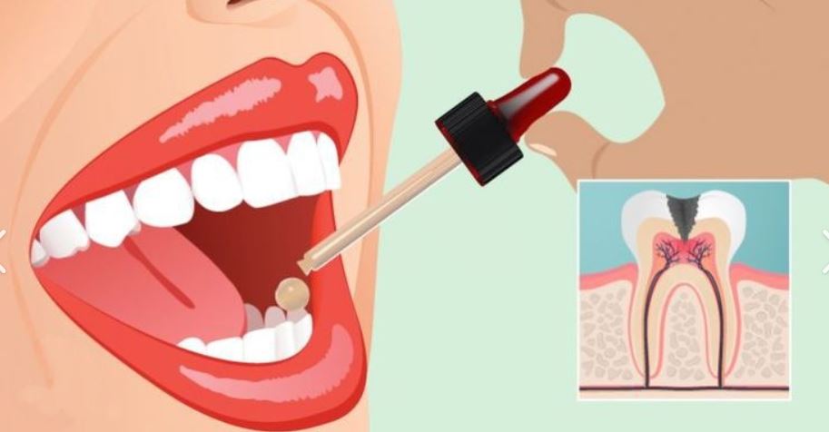 Dental 04